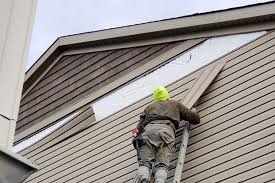 Best Custom Trim and Detailing for Siding  in Dyersville, IA